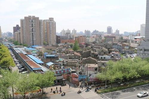 上海普陀最新爆料,揭秘上海普陀区最新动态与热点事件